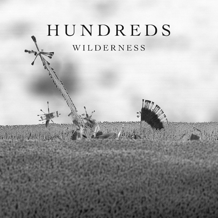 Hundreds_-_Wilderness_-_Deluxe_Edition.jpg